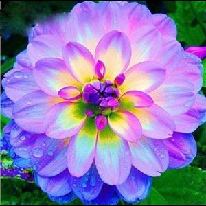 Meet your Posher, Rajvir